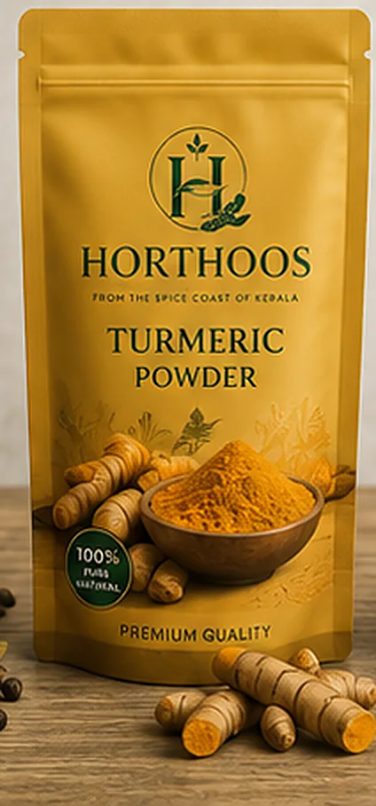 Horthoos Turmeric Powder retail pouch